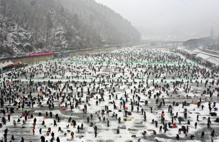 화천 산천어축제 예약 방법