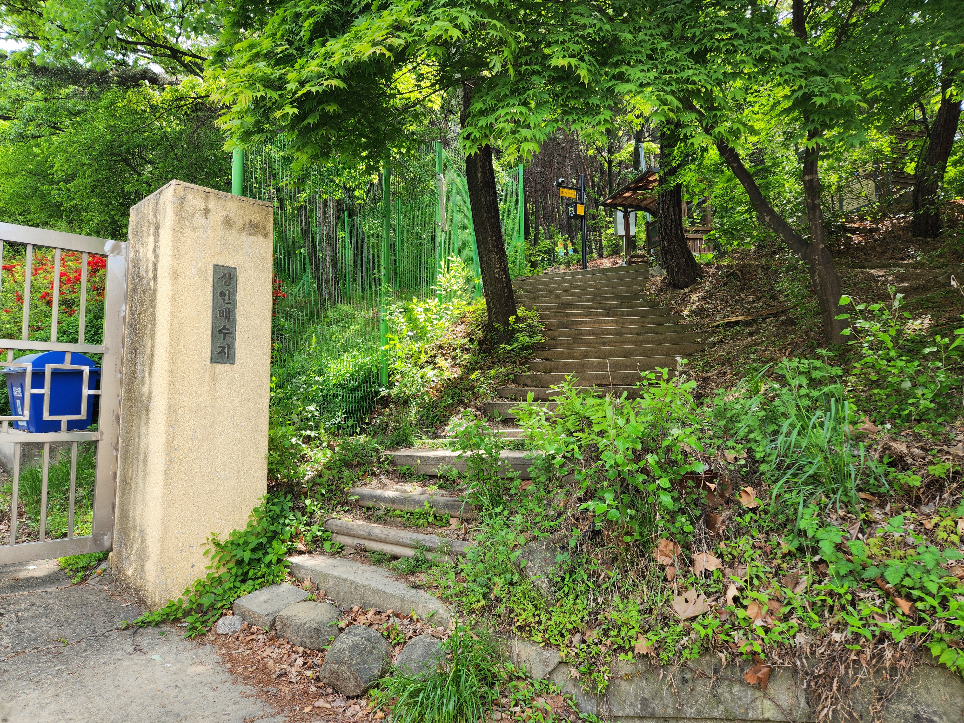 상인동 대덕산 (1)