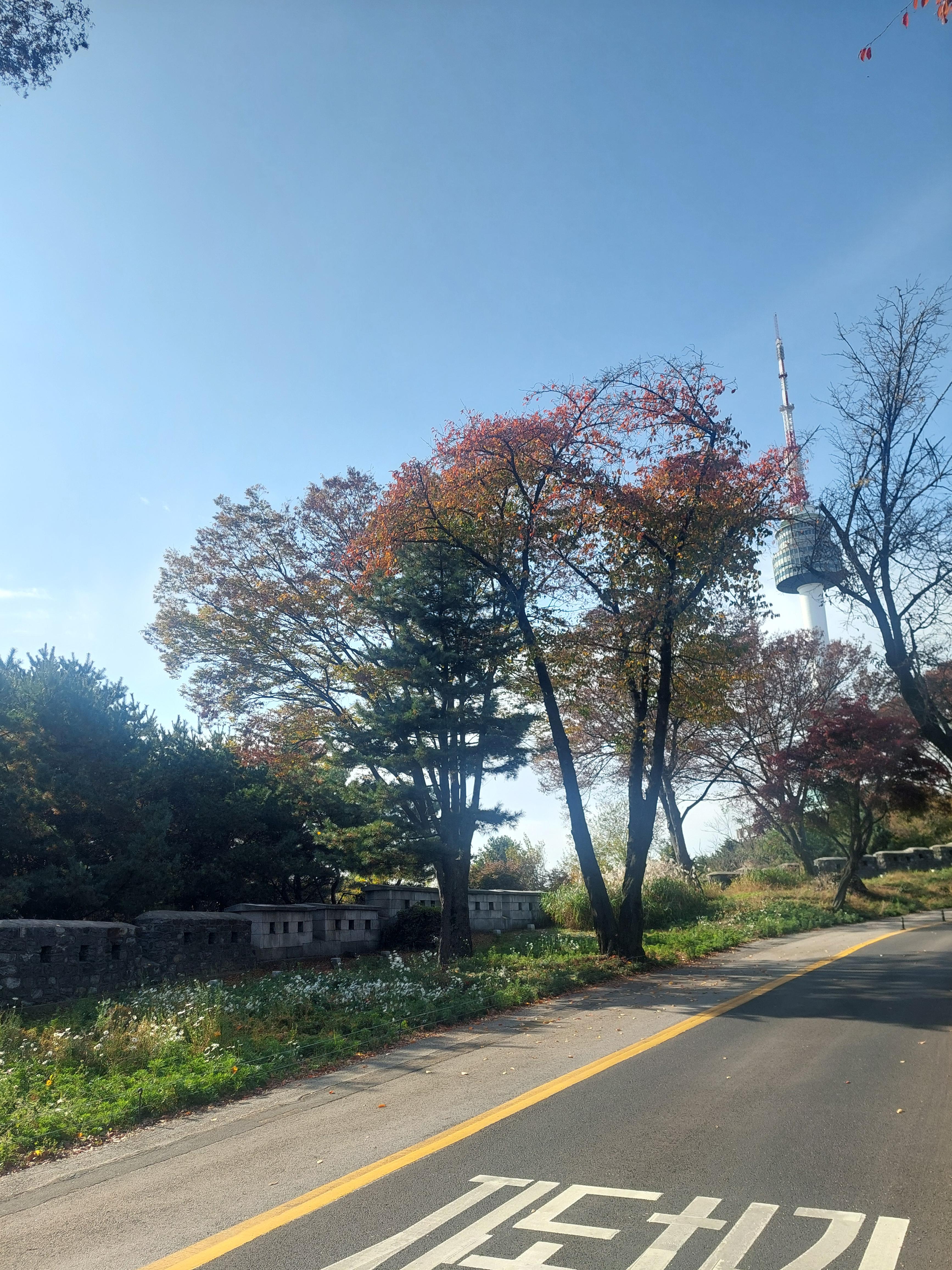 남산