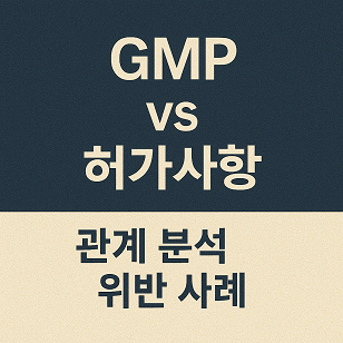 GMP 규정 vs 허가사항 관련 사진