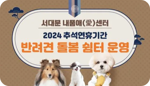 서대문 내품애 센터 반려견 돌봄 추석연휴