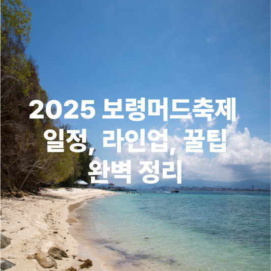 2025 보령머드축제 : 일정&amp;#44; 라인업&amp;#44; 꿀팁&amp;#44; 완벽 정리