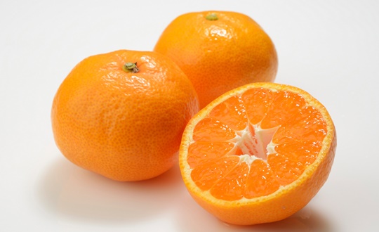 겨울 제철음식 귤 과일