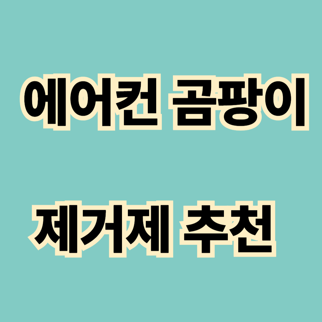 에어컨 곰팡이 제거제 추천
