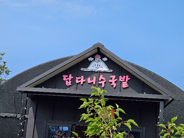 답다니 수국밭