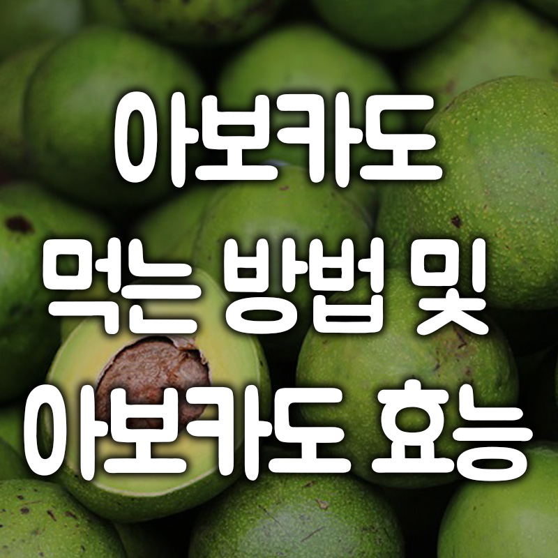 아보카도 먹는 방법 7가지와 아보카도 효능