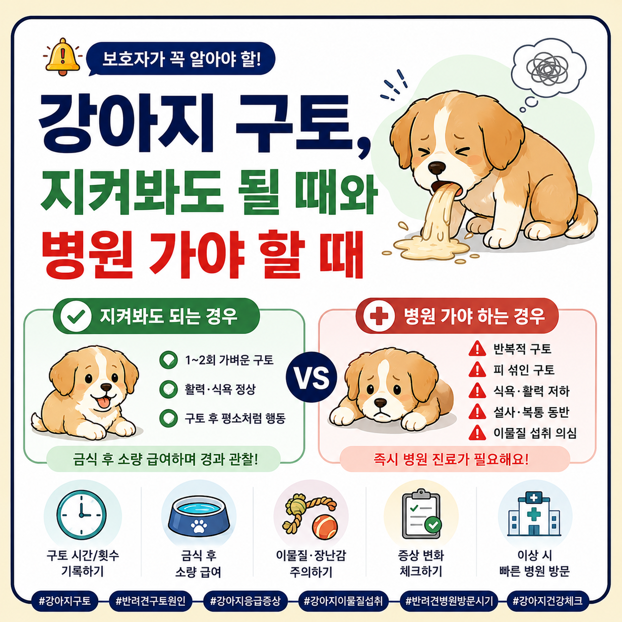 강아지 구토