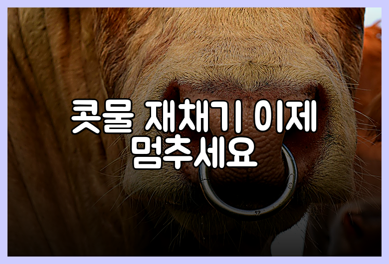 콧물 재채기 이제 멈추세요