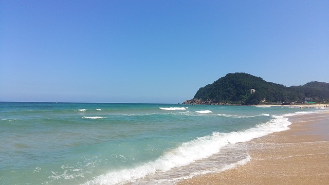 애견동반 해수욕장
