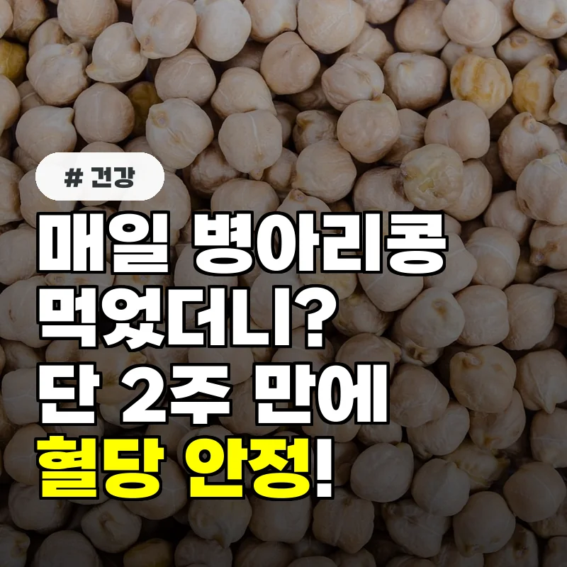 매일 병아리콩 먹었더니 단 2주 만에 불안정한 혈당 안정!