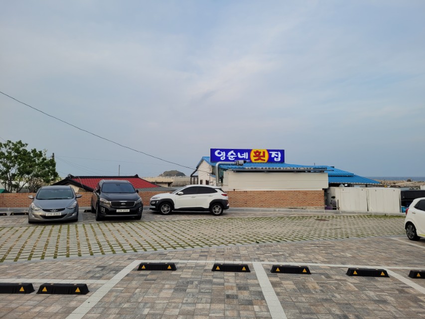 강원도 고성 봉포항 맛집 영순네횟집 외관과 주차장
