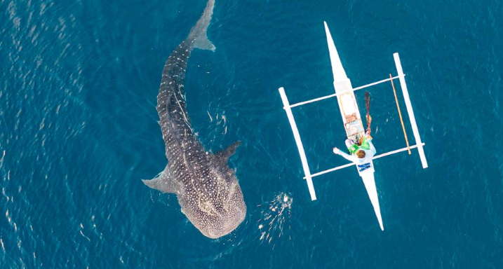 kkday 할인 연차 소진 활용 세부 오슬롭 투어 추천 동남아 해외여행 추천