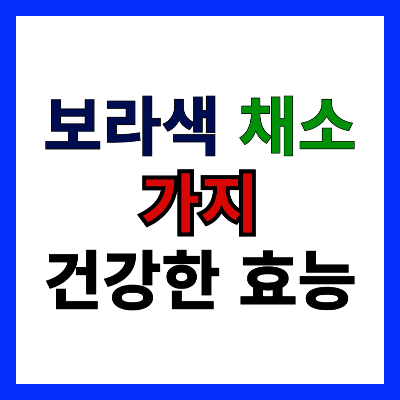 가지의 효능