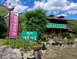 웰빙약초마을