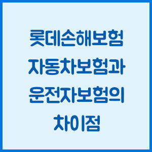 롯데손해보험 자동차보험과 운전자보험의 차이점