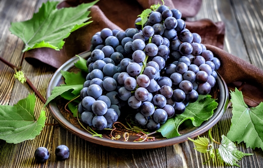 포도의 효능