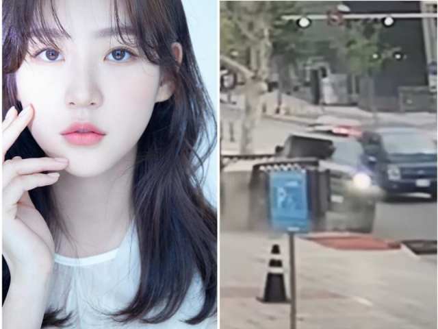 대한민국 연예인 음주운전 명단