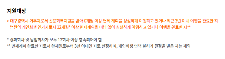 신용불량자 대구광역시 울타리론 정부지원 대출 조건 한도