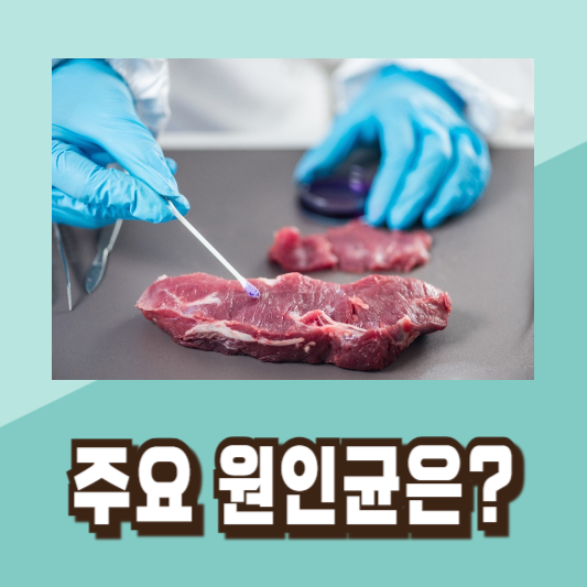 여름 식중독 증상 예방법