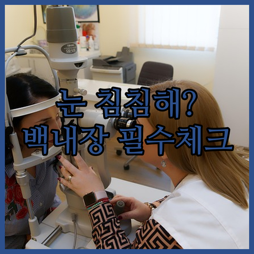 백내장 자가 진단 체크리스트와 수술 ..