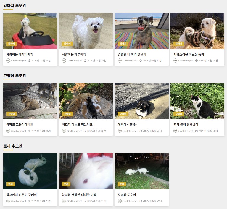 강아지-죽었을-때-위로