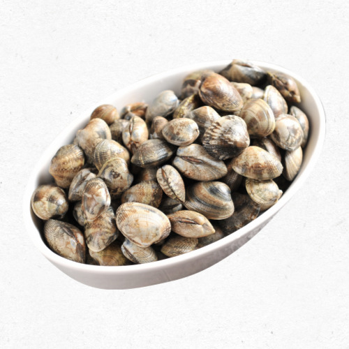 바지락, 모시조개, 동죽, 키조개, 대합 사진