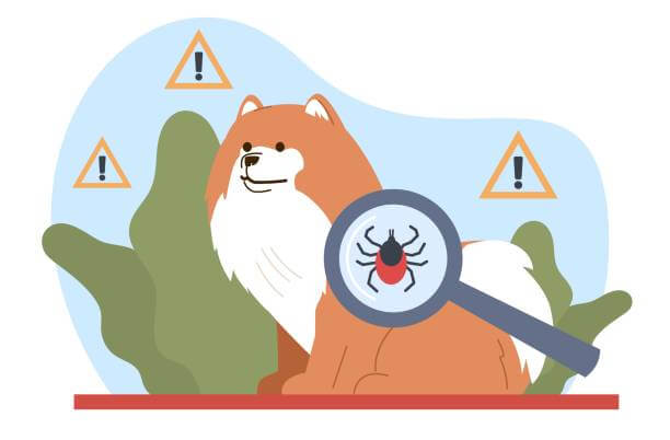 강아지 진드기 바베시아