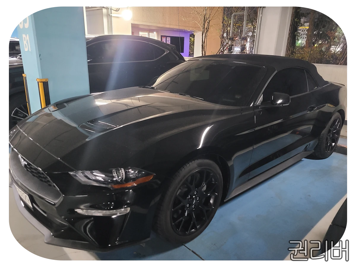 머스탱 컨버터블을 구매한 이유