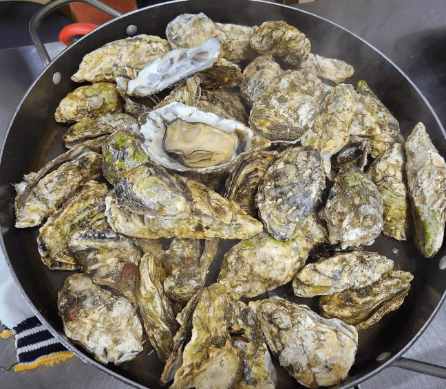 생방송투데이 굴구이 굴무침 굴미역국 경남 거제 맛집