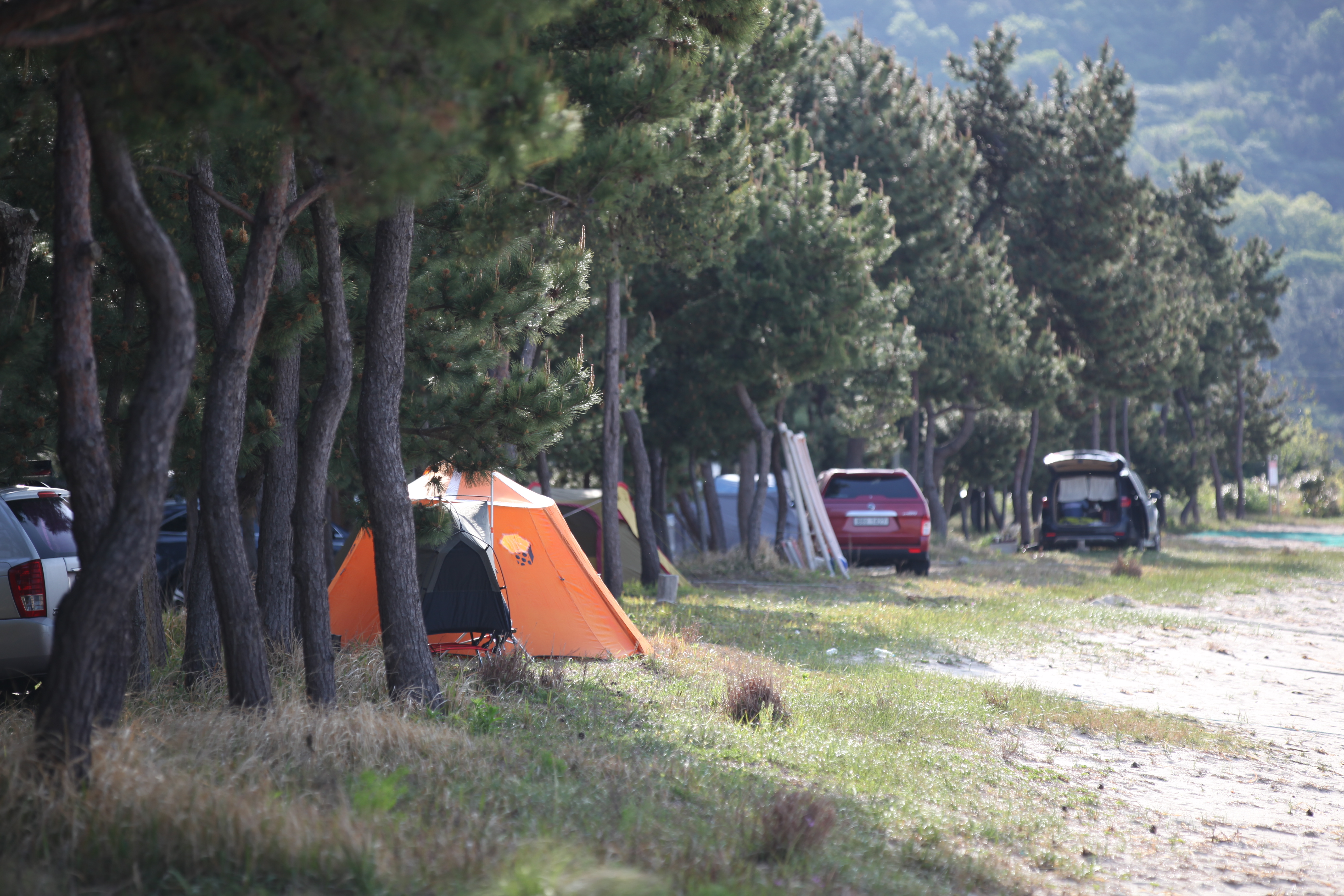 #캠핑체크리스트 #차박준비물 #백패킹체크리스트 #오토캠핑준비 #글램핑리스트 #여름캠핑 #캠핑준비도구 #캠핑초보 #2인캠핑 #캠핑팁 #캠핑장비리스트