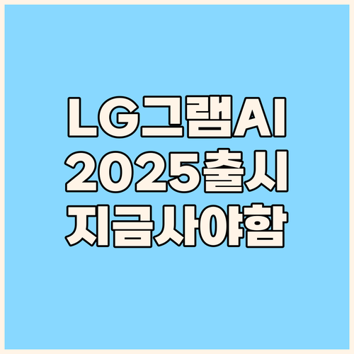 LG 그램 AI 2025년형 출시 가..