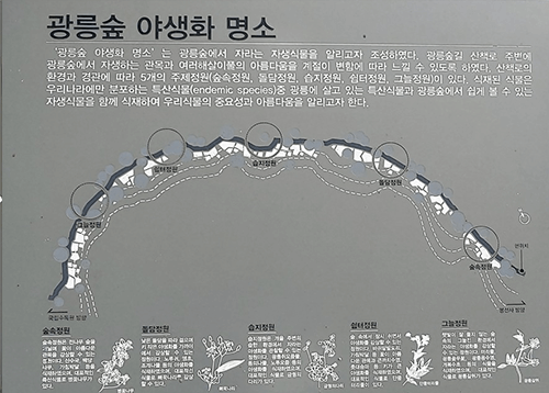 광릉17