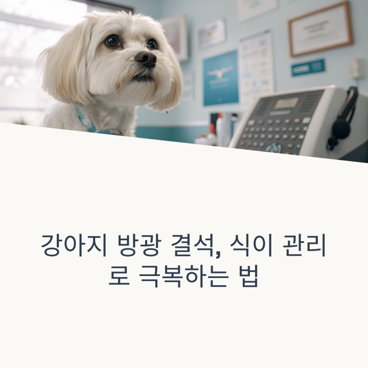 강아지 결석 사료