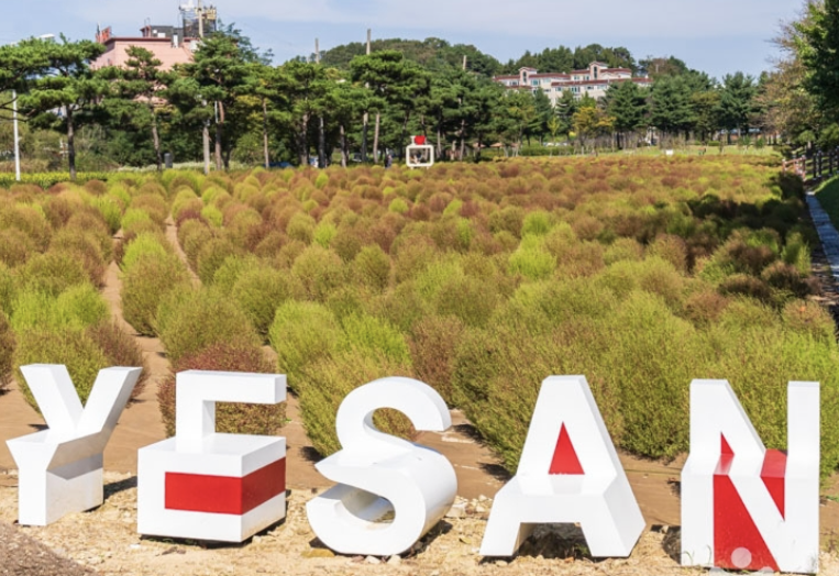 2025년 추석연휴 충청남도 여행지 BEST 5