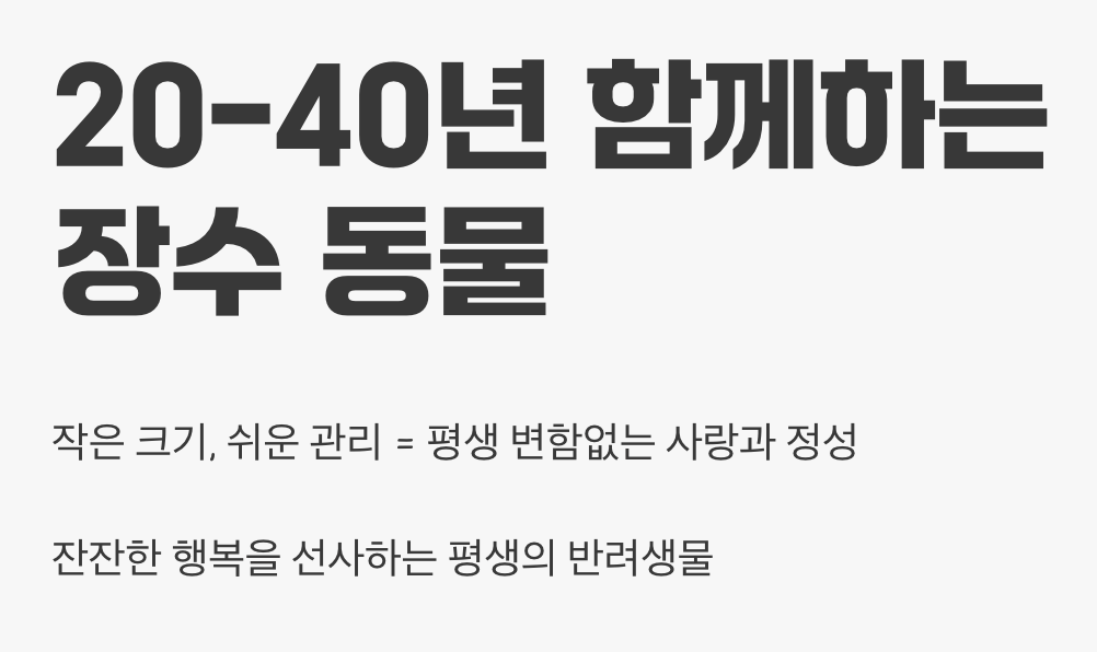 오래도록 함께할 나의 작은 친구