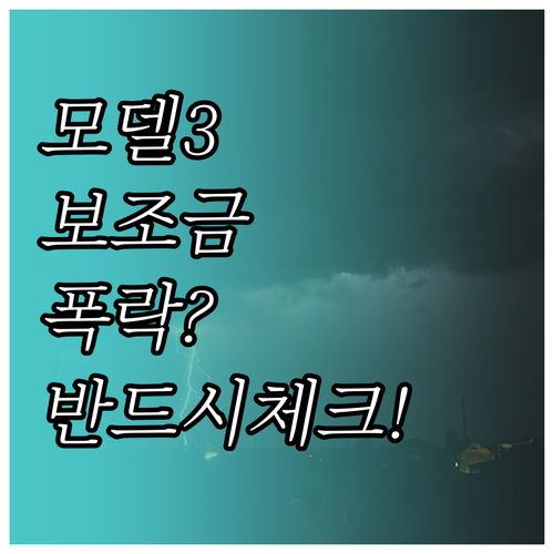 테슬라 모델 3 LFP 배터리 보조금..