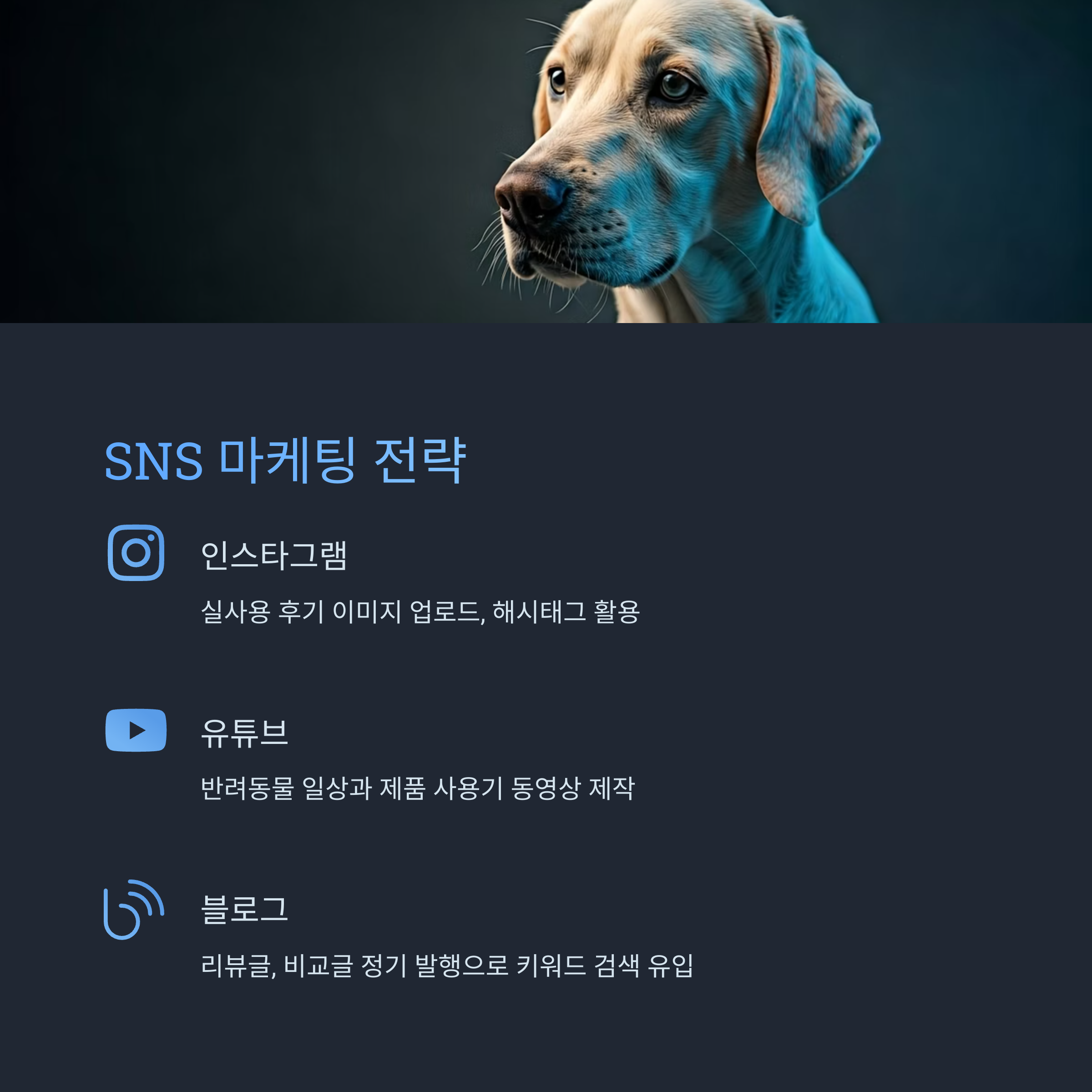 SNS 마케팅과 고객관리 전략