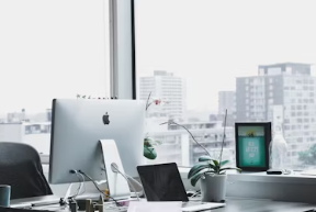 공무원에 대하여 알아보기