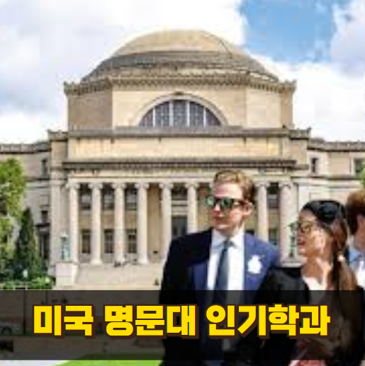 취업 잘 되는 미국 대학 인기학과