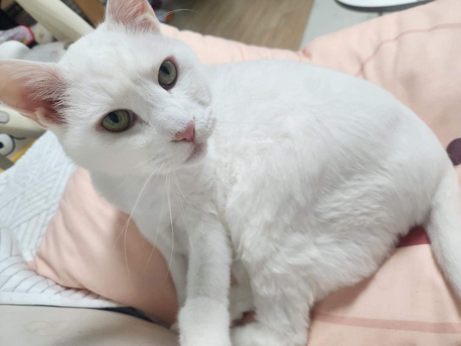 별이 정면 마무리