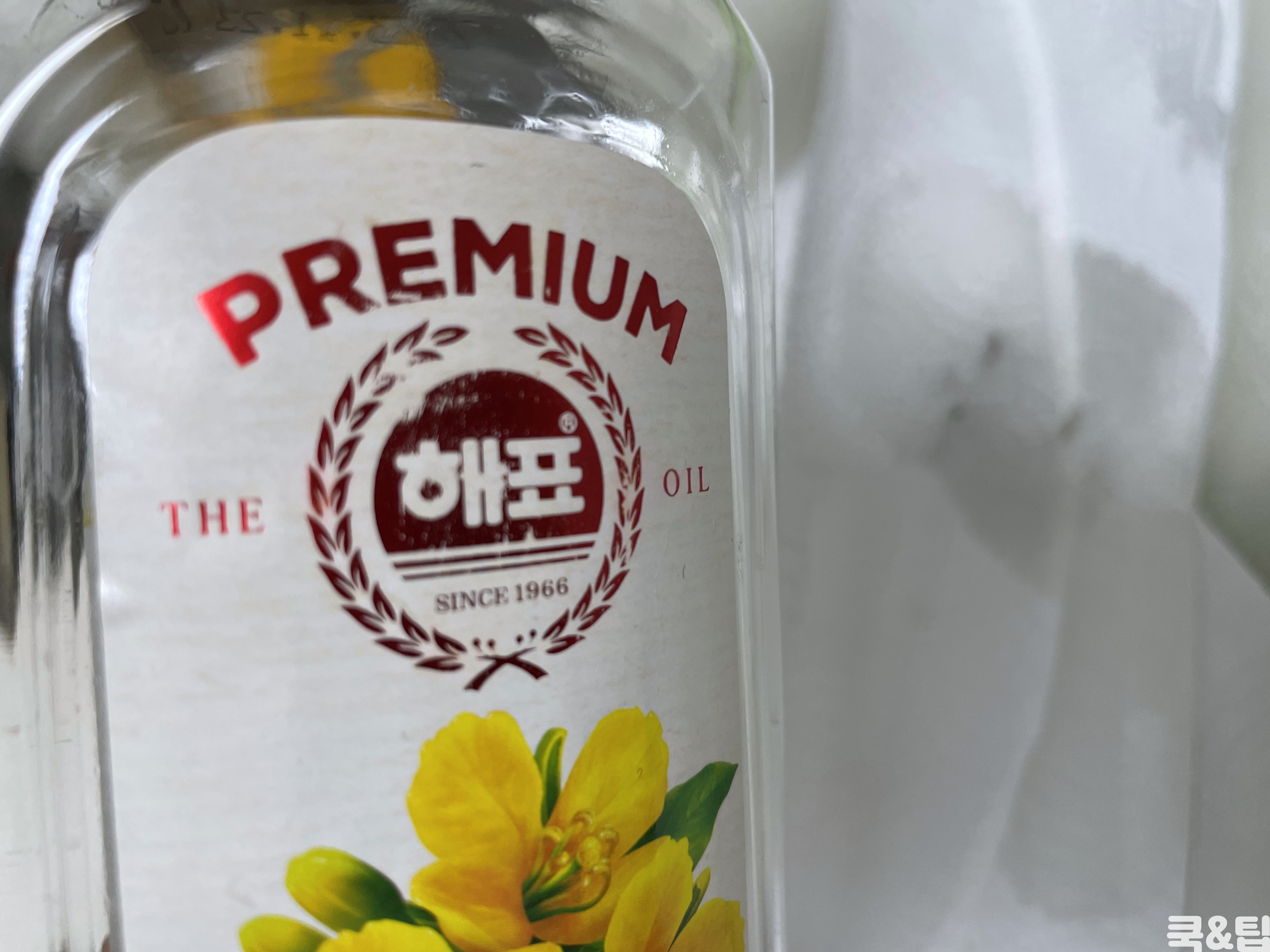 식용유_카놀라유