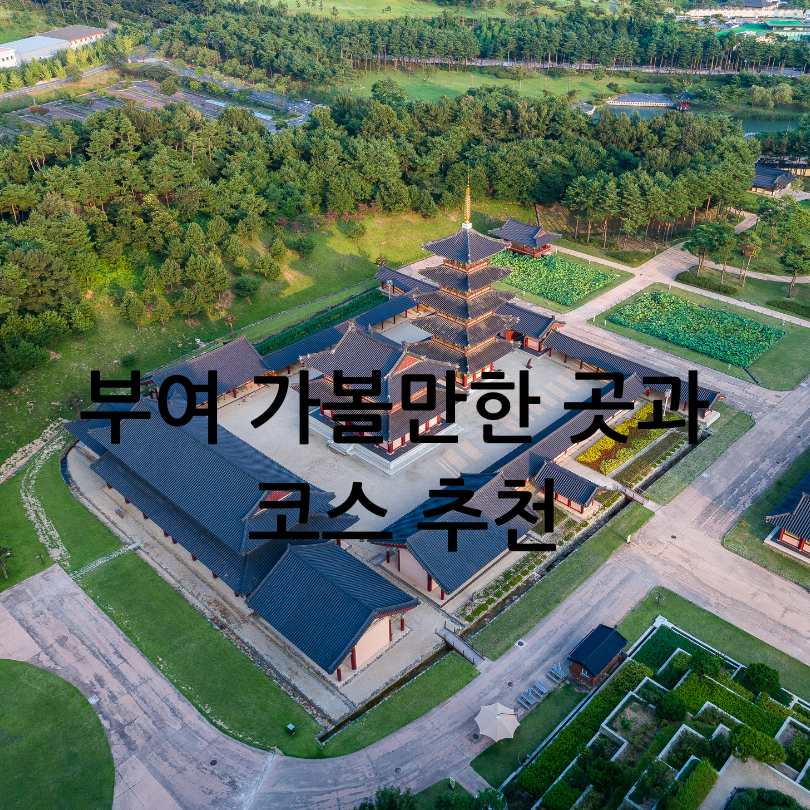부여서동연꽃축제 2025 일정 및 볼거리