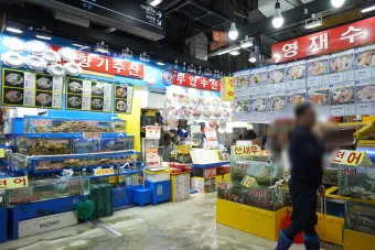 가락시장 맛집 회센터 수산시장 꽃게_14