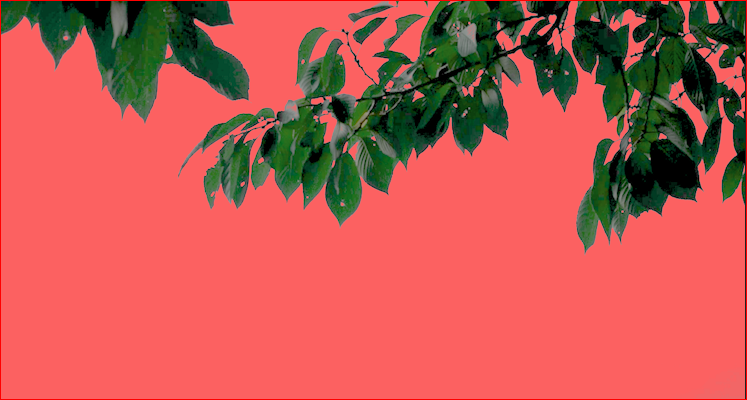 울트라키 적용후