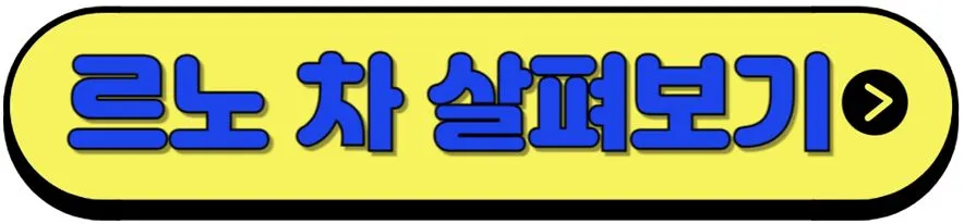 르노-차-안내