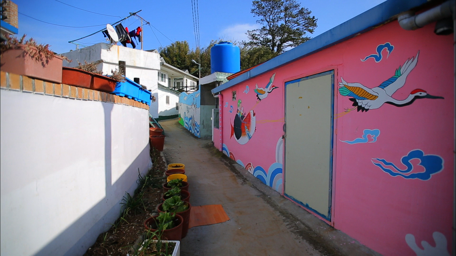 6월 축제 가볼만한 곳