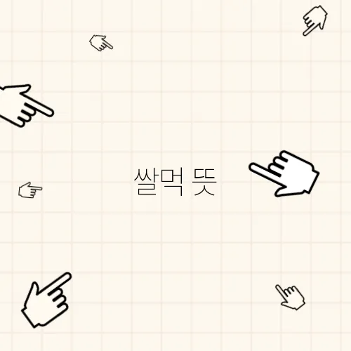 쌀먹 뜻