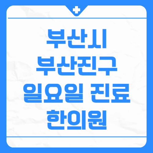 부산시 부산진구 일요일 진료 한의원