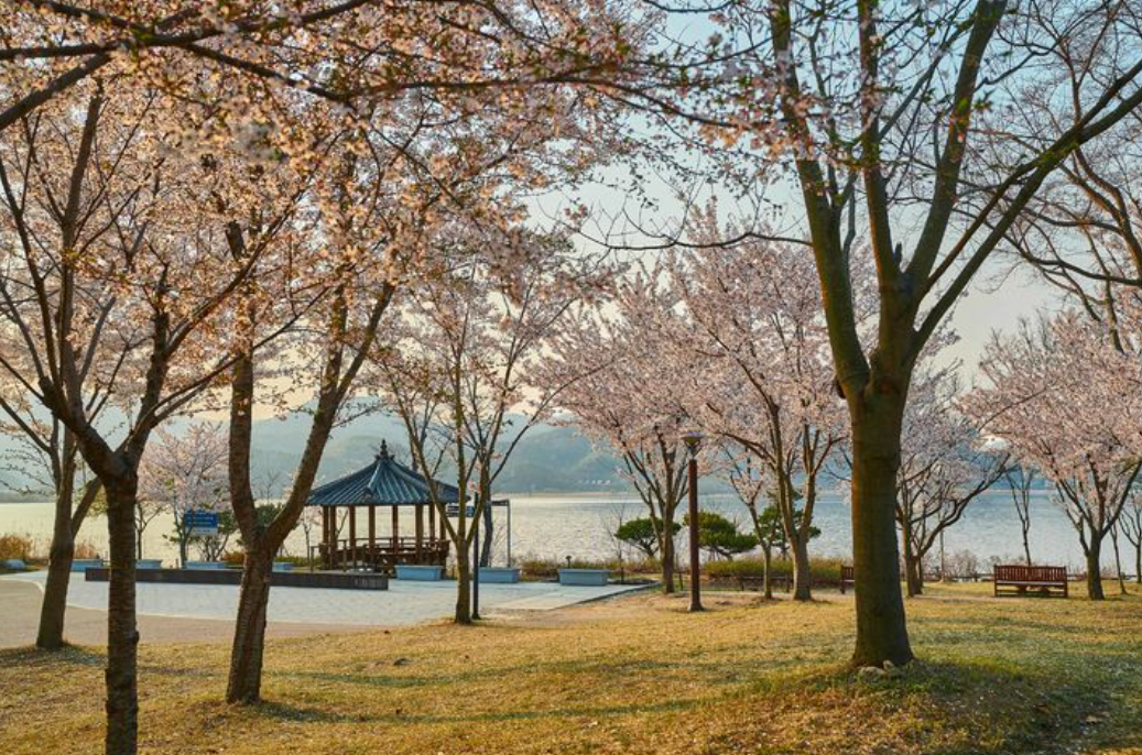 다산 생태공원 사진