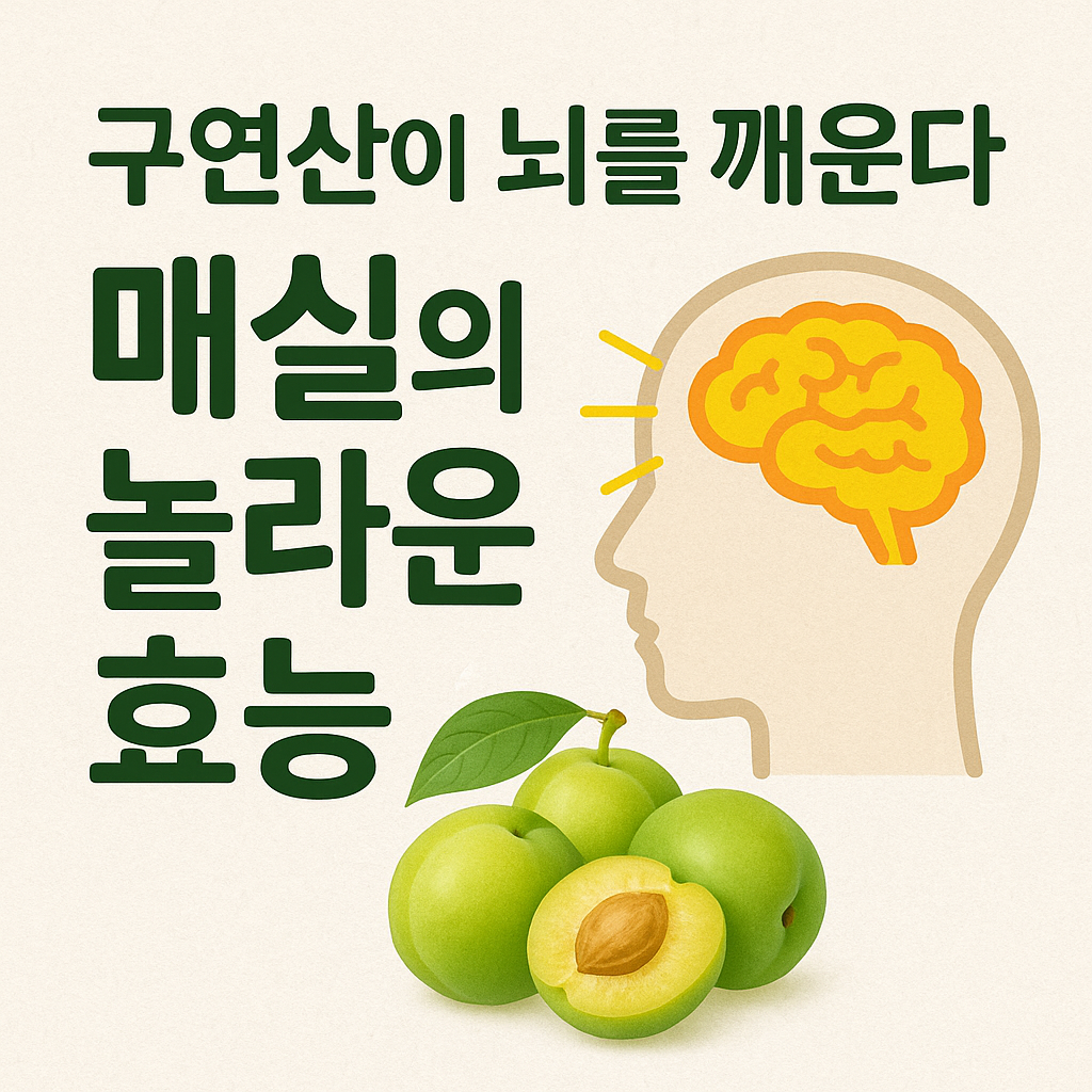 구연산이 뇌를 깨운다! 매실의 놀라운 효능
